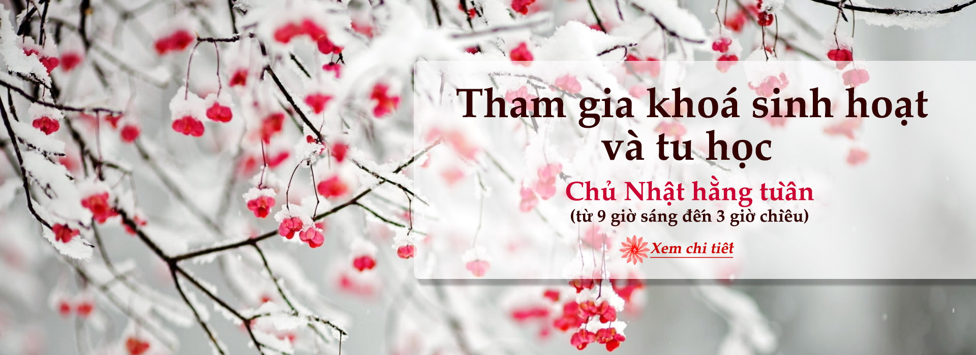 slide_khoa_tu_hoc